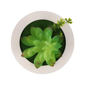 

1 Pc Plant Photo Frame Photo Display Holder Hanging Photo Frame for Decor Shop Store Room