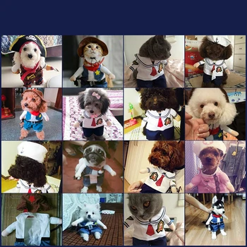 

New Arrival Funny Pet Teddy Clothes Upright Cosplay Dog Cat Halloween Party Cute Costume Clothing Comfort For Small Medium Dog