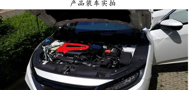 Для Honda 10th Generation Civic- ABS углеродное волокно Цвет Авто Крышка двигателя капот звуконепроницаемый