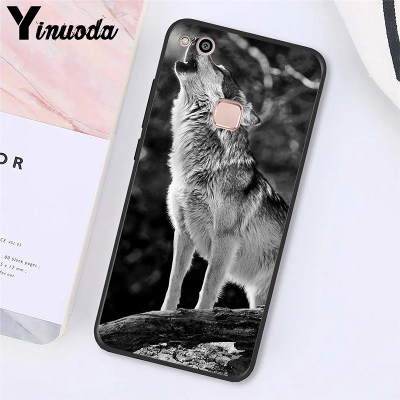 angry Animal wolf Face