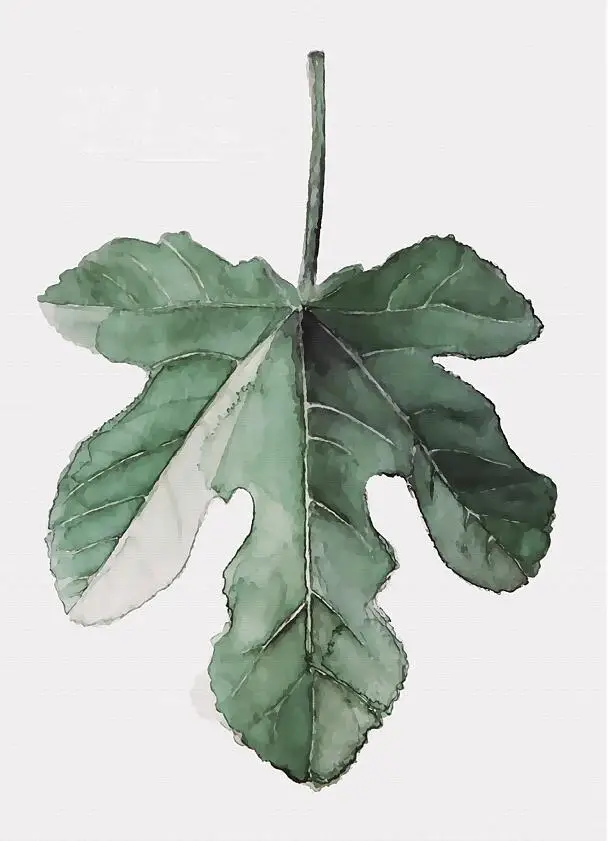 Monstera Deliciosa листья стены Искусство Холст Живопись зеленый стиль растение скандинавские плакаты и принты картина Современное украшение дома - Цвет: 8