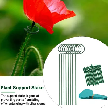 

8pcs Plant Support Stake Set Cable Tie For Flower Label Easy Install Single Stem Reusable Prevent Falling Balcony Outdoor Garden
