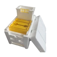 Домашний улей коробка для сбора урожая пчелиный улей Пчеловодство королевская коробка для опыления пчеловодства инструмент для сбора урожая пчелиный улей твердый кедр коробка для размножения