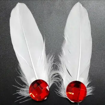 

JOJO'S BIZARRE ADVENTURE Caesar Anthonio Zeppeli Feather Headwear Prop Props Gift Drop Ship