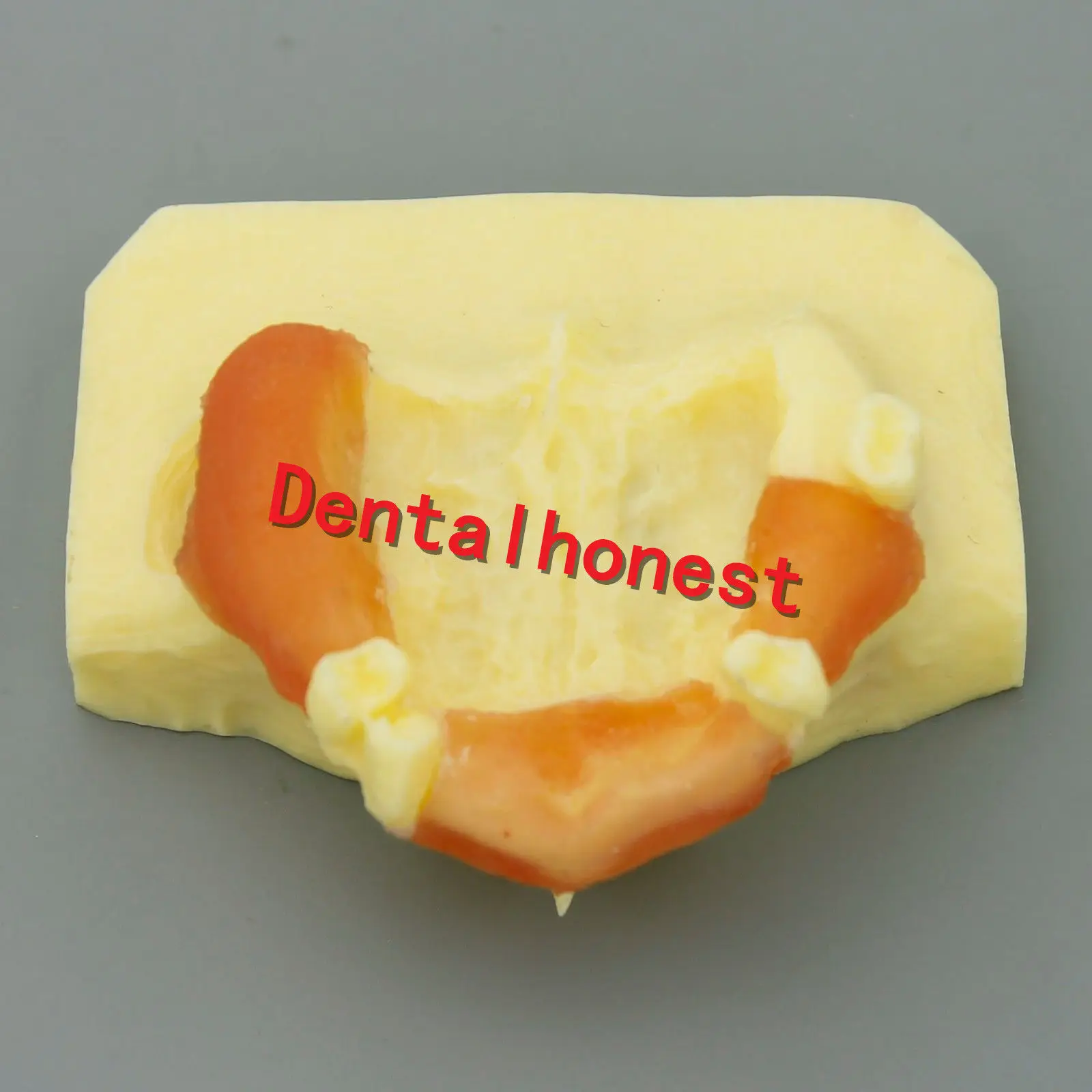  Dental Sinus Lift teeth model Practice Teeth Model Typodont Study Model 2013 01