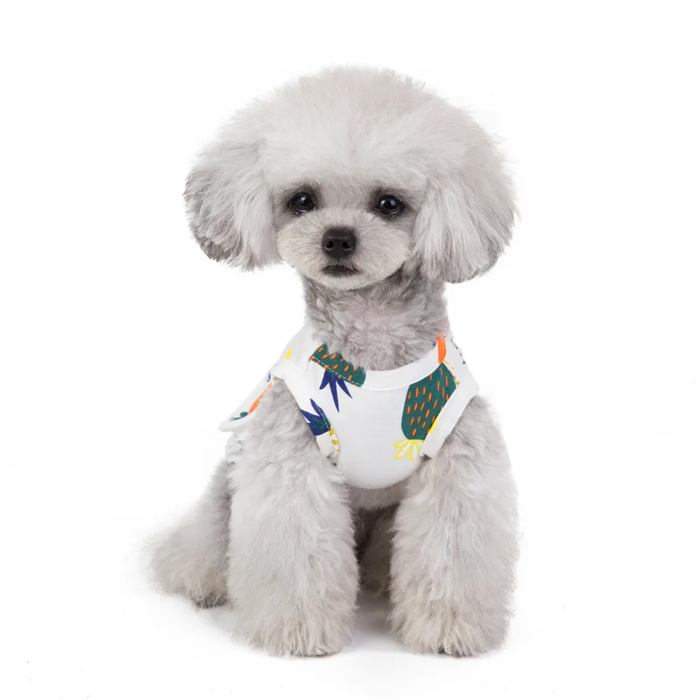 Fruit Design Summer Dress For Dog Pet Clothes Wedding Dress Skirt Puppy Small Dog Clothing Spring Fashion Jean Pet Clothes XS-XL (5)