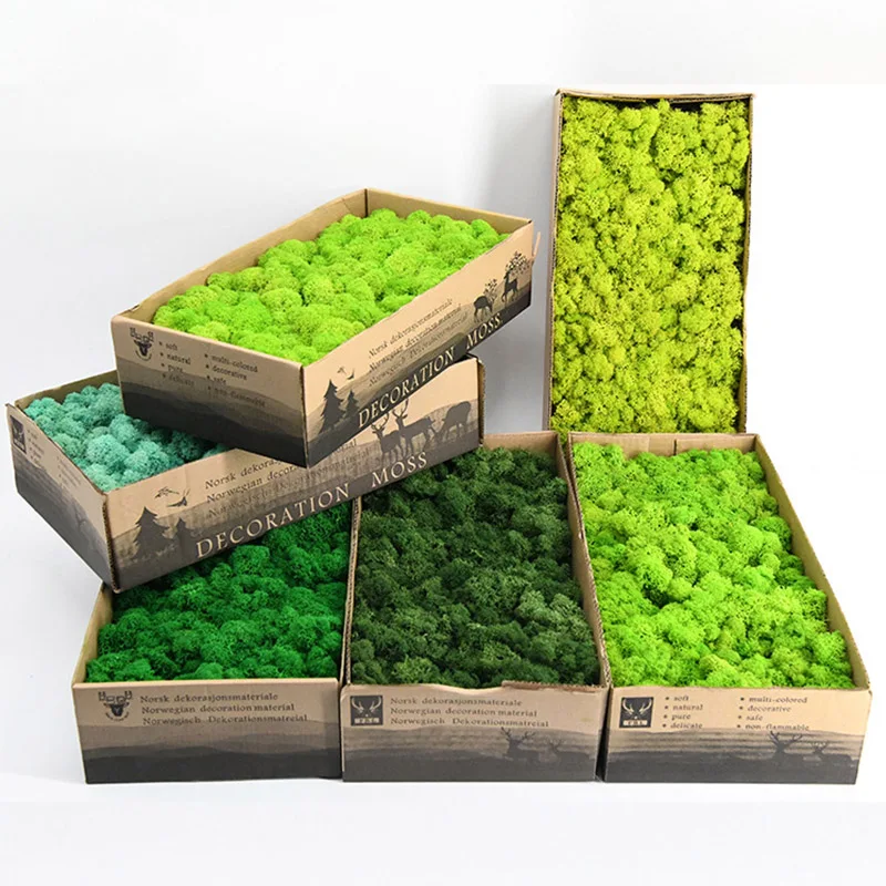 Artificial Green Plant Immortal Fake Flower Moss Grass for Home Living Room Decorative Wall DIY Colorful Mini door Accessories | Дом и сад