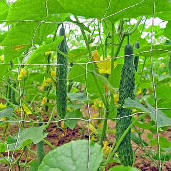 

Netting Plant Climbing Net Support Plants Grow For pole green beans Peas