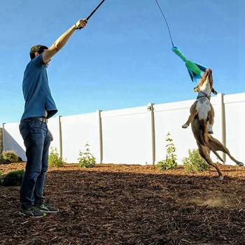 

Outdoor Dog Toys Extendable Teaser Wand Outside Interactive Fun Toys With 2 Rope Chew Play Toys For Training interactiveSupplies