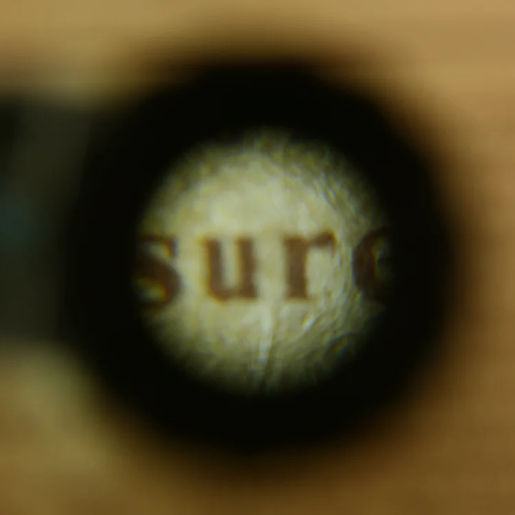 2520123429_101241581