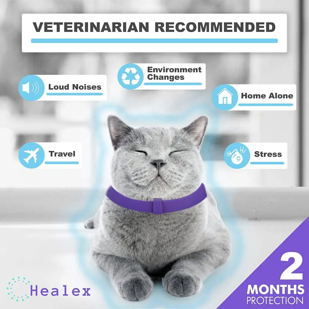 Cat Collar Pet Supplier Pet Accessories Pet Calm Collar Adjustable TPR Neck Strap Cat Small Dog Soothing Collar Cat Collar Pet Supplier Pet Accessories Pet Calm Collar Adjustable TPR Neck Strap Cat Small Dog Soothing Collar