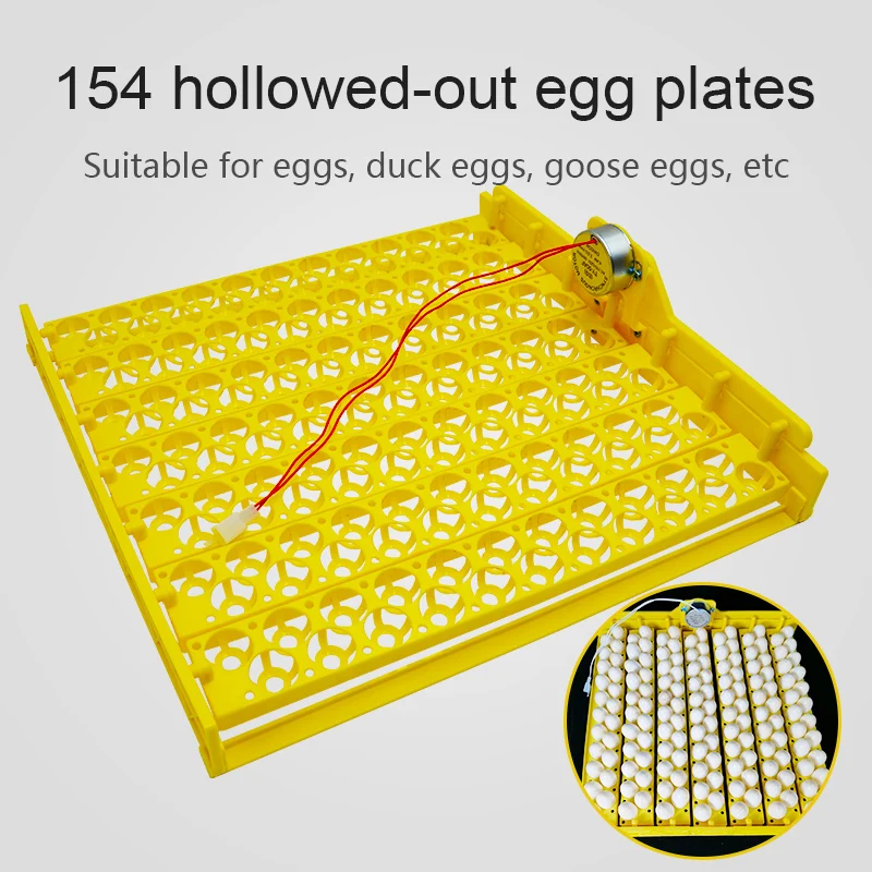 154 Bird Egg Tray