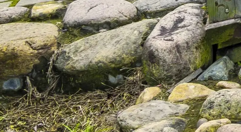 QQ截图20200627180504