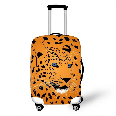 17018268312_255311831.400x400