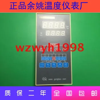 Buy Temadix Yuyao Temperature Instrument Factory XMTS-7WJ2III Dryer Controller XMTS-7WJ Spot