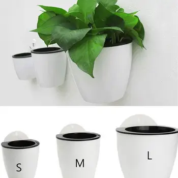 

PC Wall Hanging Wall Hanging Plant Holder Self Watering Hanging Plant Pots Automatic Automatic Tools Garden Water Planting