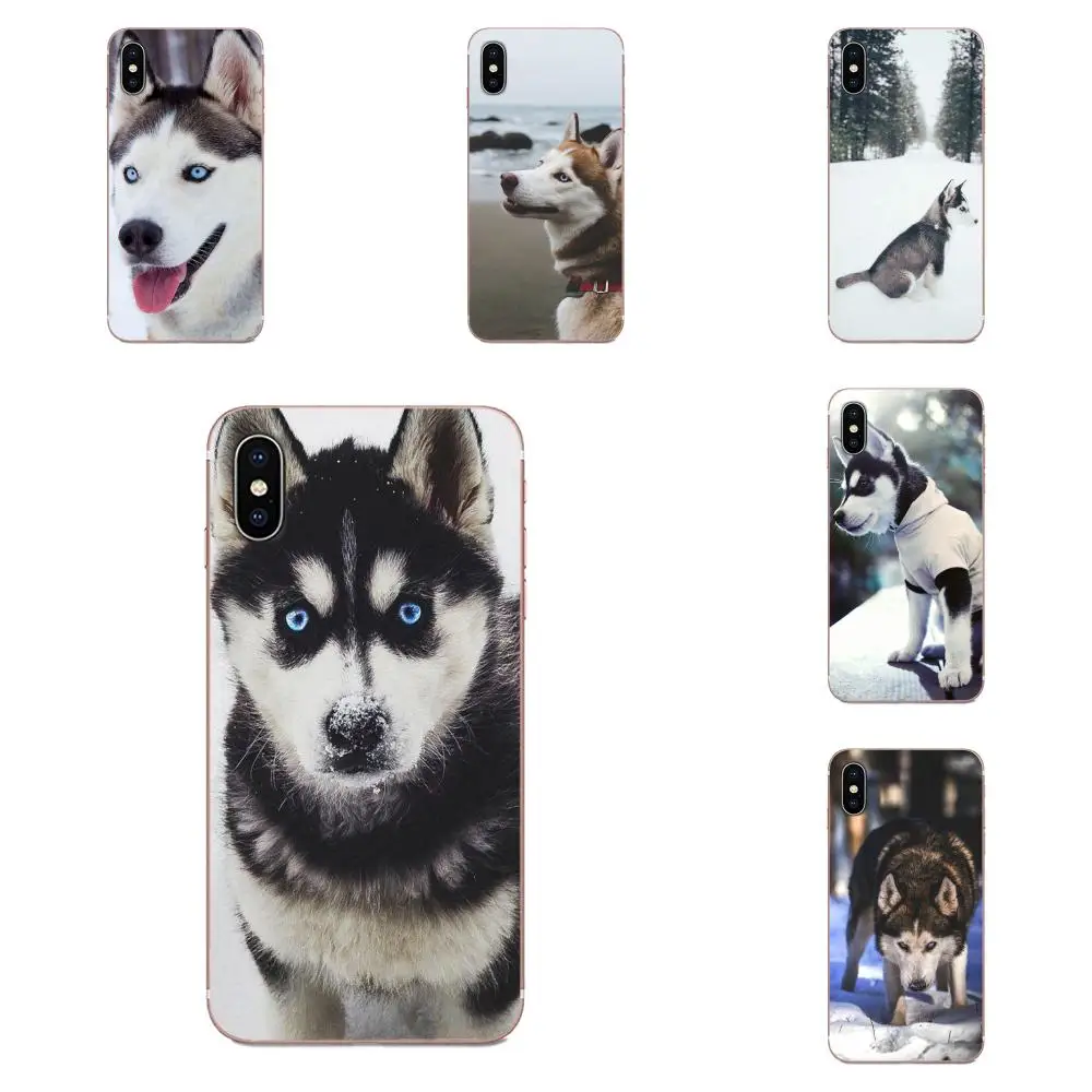 Мягкие рисунки для Apple iPhone 11 Pro X XS Max XR 4 4S 5 5C 5S SE SE2 6 6S 7 8 Plus собак хаски | Мобильные