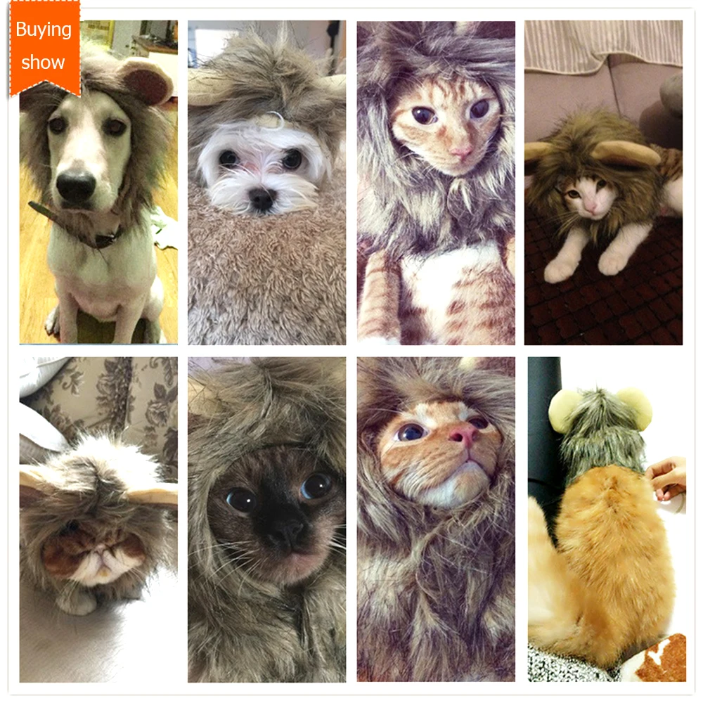 HOOMIN Pet парик для кота шапочки для щенков Одежда для собак костюмы для косплея кошки головные уборы для Хэллоуина Косплей вечерние забавные головной убор для питомца Кепка