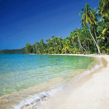 

Summer Sea Seaside Tropical Beach Palm Tree Baby Party Backdrop Photography Background For Photo Studio Photophone Photozone