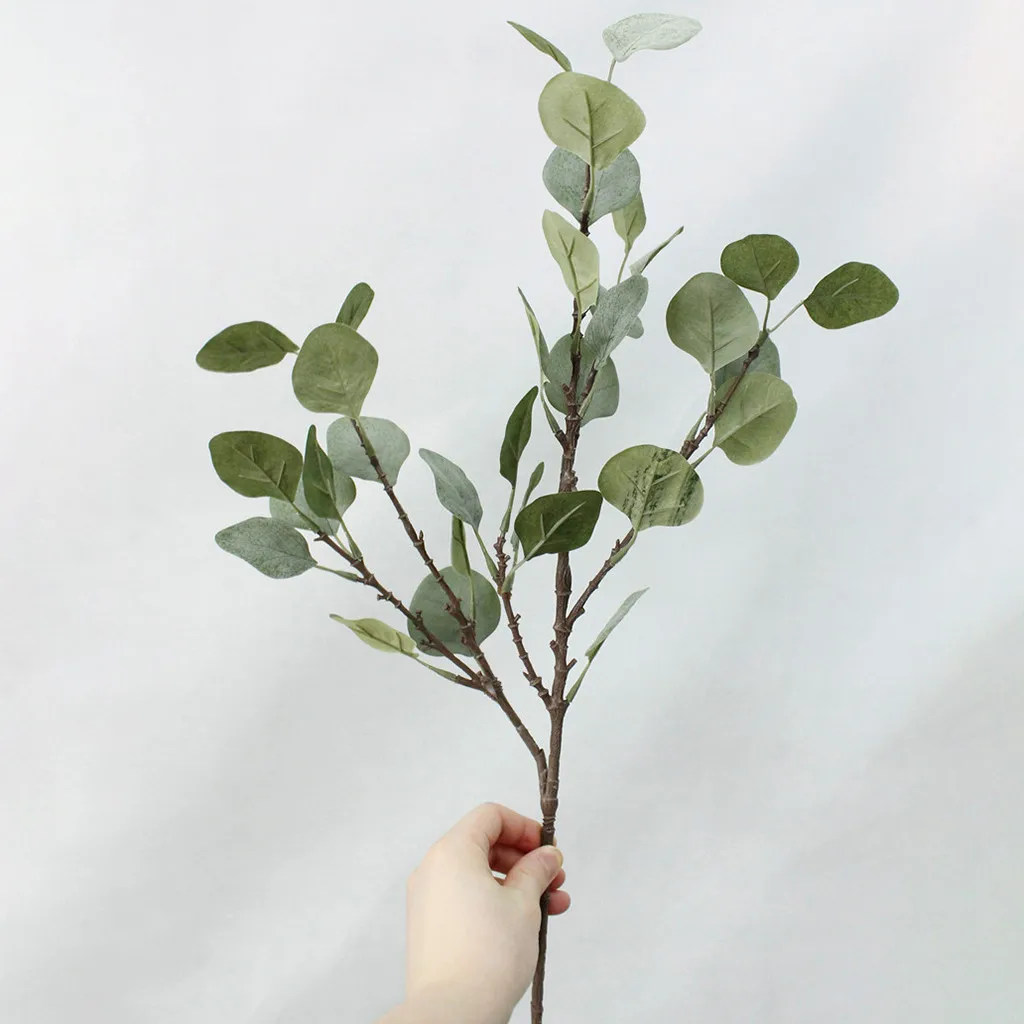 Эвкалипт бруни ветка. Веточка для вставки. Рускус эвкалипт. Веточки для букетов. Ветка дерева на белом фоне.