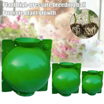 

5pcs Plant Rooting Ball Grafting Rooting Growing Box Breeding Case for Garden XH8Z