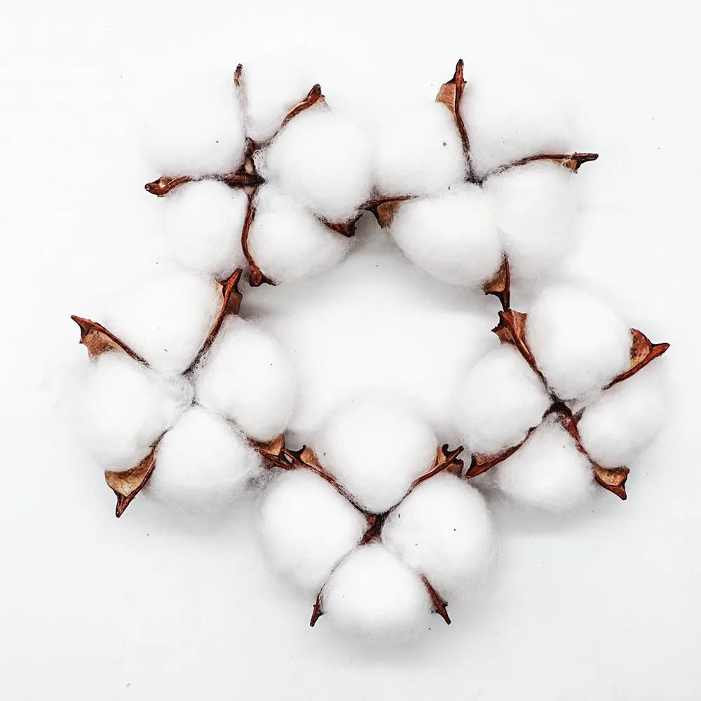 5Pcs-Artificial-Flower-Kapok-Cotton-Head-for-Wedding-Christmas-Home-Decoration-DIY-Craft-Wreath-Scrapbook-Natural(1)