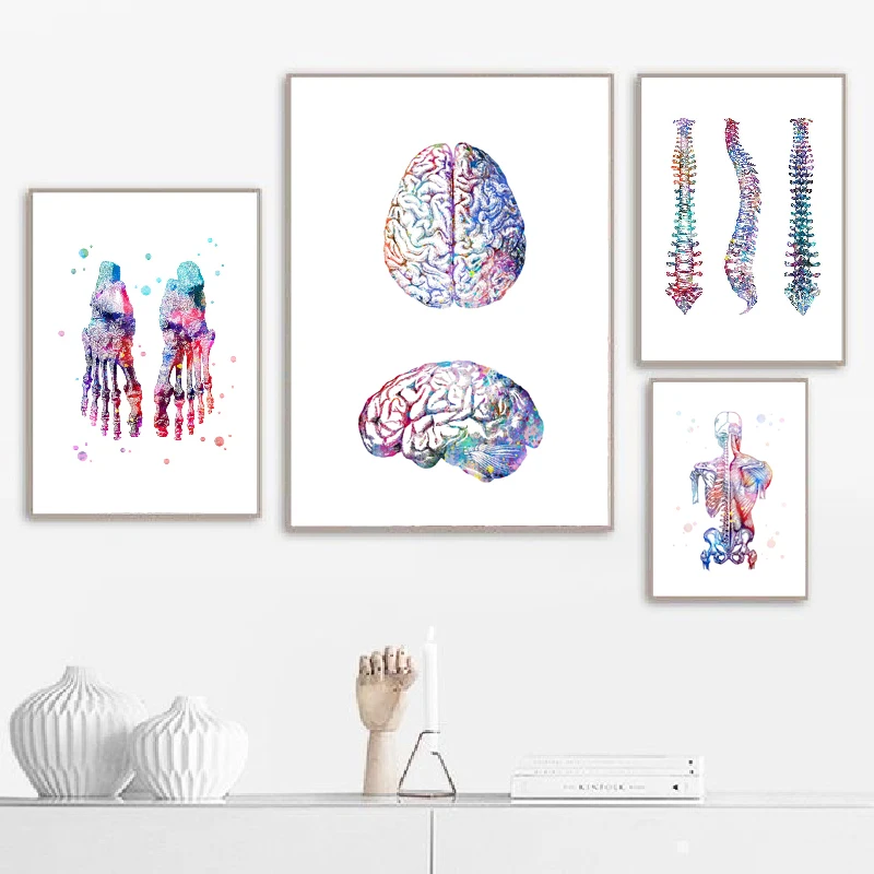 Anatomy Skeleton Feet Bones Clinic Wall Art Canvas Painting Print Nordic Posters and Prints Pictures Doctor's Office Decor | Дом и сад