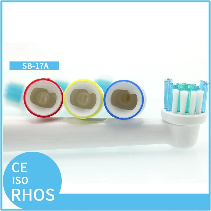 3669755413_2088711171