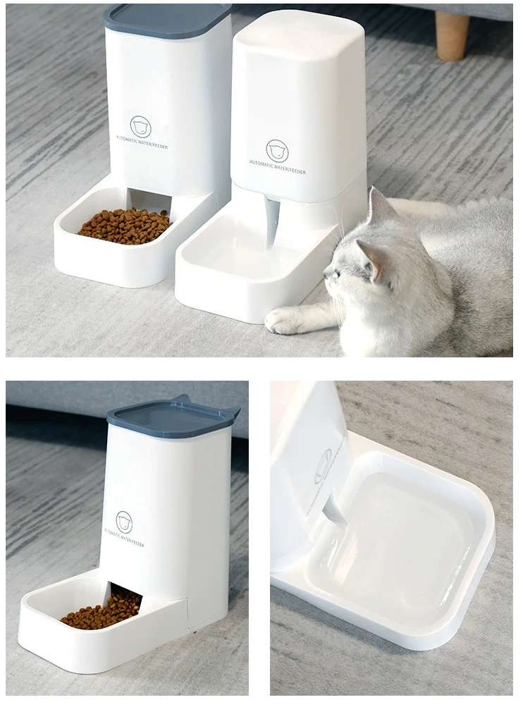 20011436062_1432003957