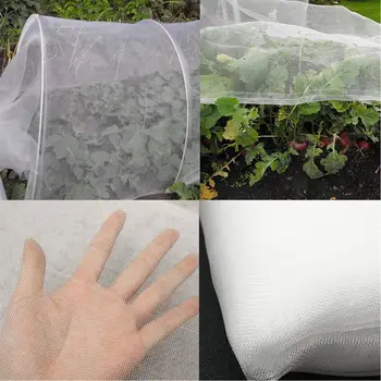 

Insect-Bird-Net Horticultural-Net Anti-Bird-Net Garden Vegetables Protection Net Mesh-Netting Plants-Care-Cover Netting Barrier