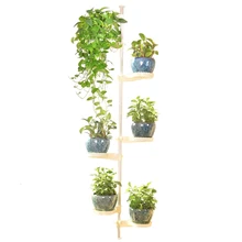 Рама неукротимый дух Многоэтажный крытый балкон гостиная Зеленая редиска мясо цветочный горшок рамка подоконник цветок Airs