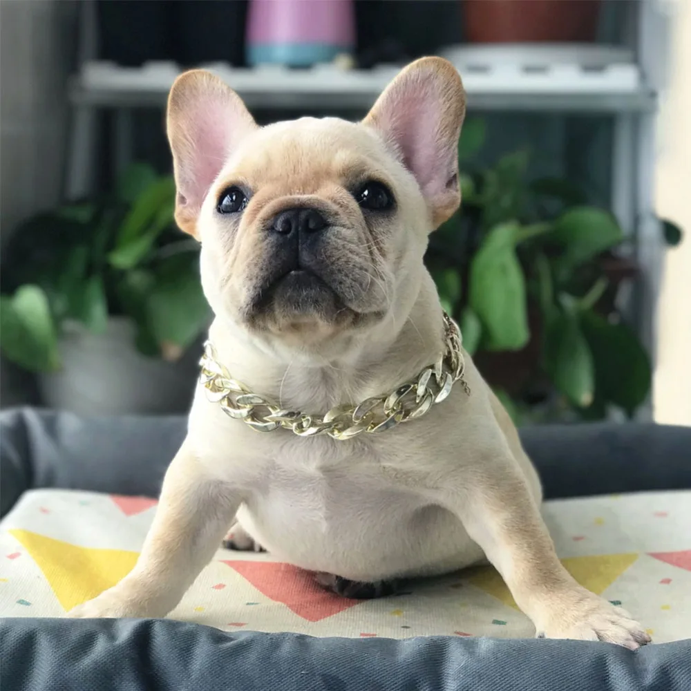 307643_no-logo_307643-1-06-g