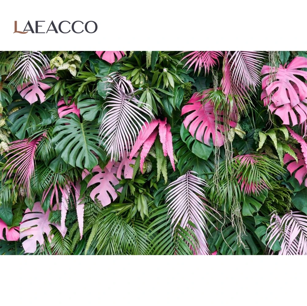 Laeacco       Ƽ ʻȭ photocall      Ʃ