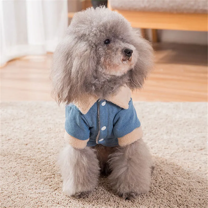 Роскошная Одежда для собак, зимнее пальто, куртка для собак, Bichon Schnauzer, зимний костюм для домашних животных, джинсовый костюм, куртка, 2 цвета, 37