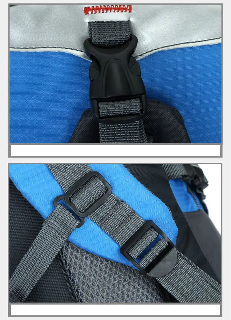 4413918287_741038267_副本