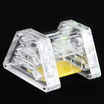 

Reptiles Living Box Acrylic Transparent Ant Feeding Living Nest Farm Insect Moisturizing Case Housing Home Insects Box