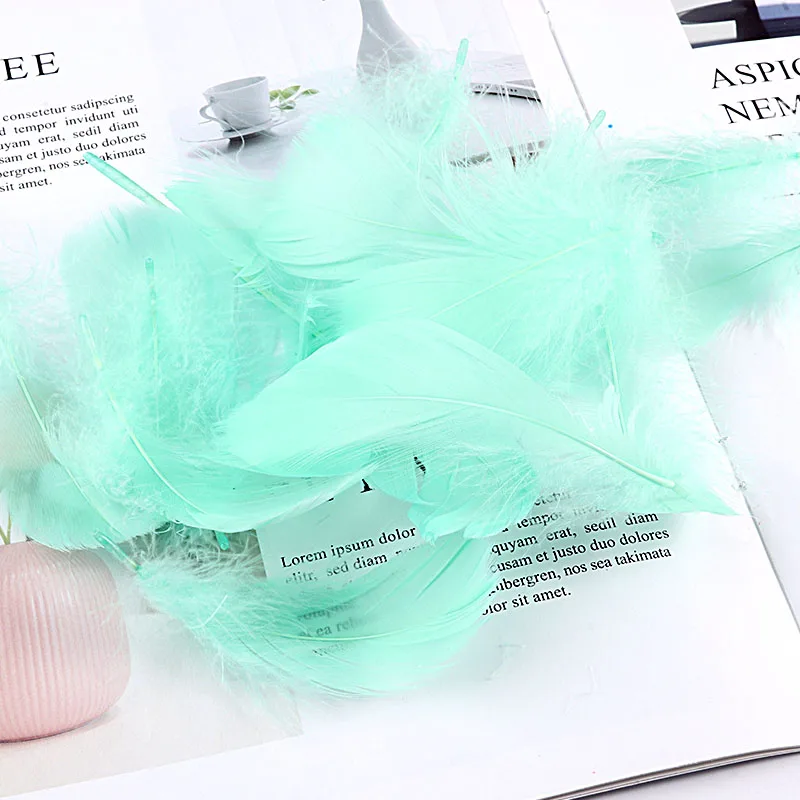 Goose Feathers 100pcs 4-8CM Small Fluffy Goose Feathers Colorful for Party Decoration