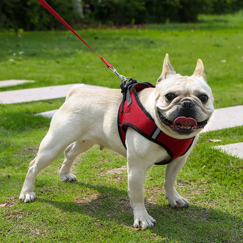 15197733350_1490864554