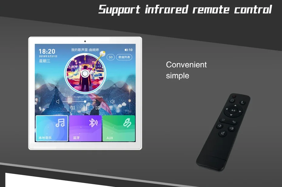 bluetooth amplifier (1)