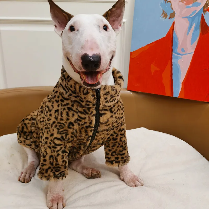 Do Pitbulls Need A Winter Coat