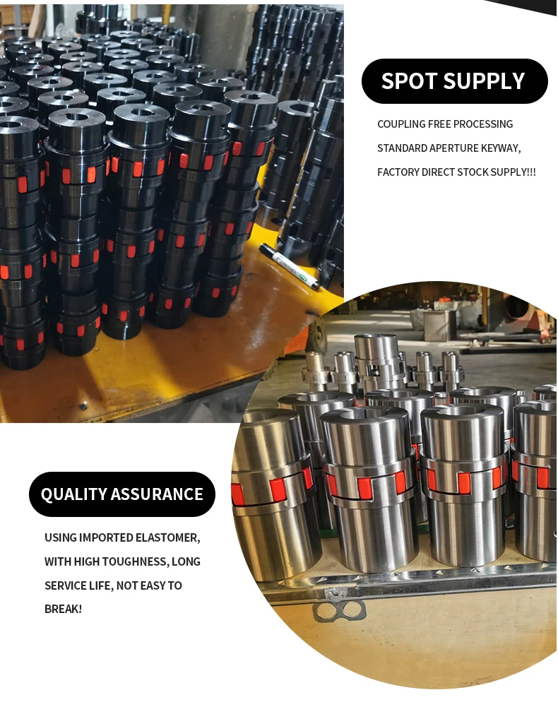 High Quality Renovação da Casa