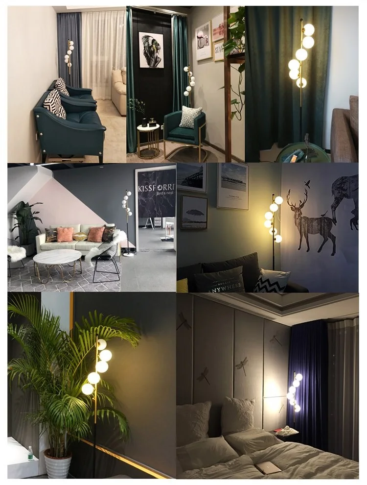 9090459202_439742034