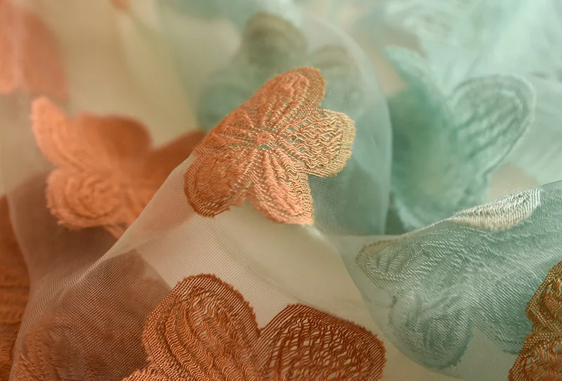 11539692447_2070773686