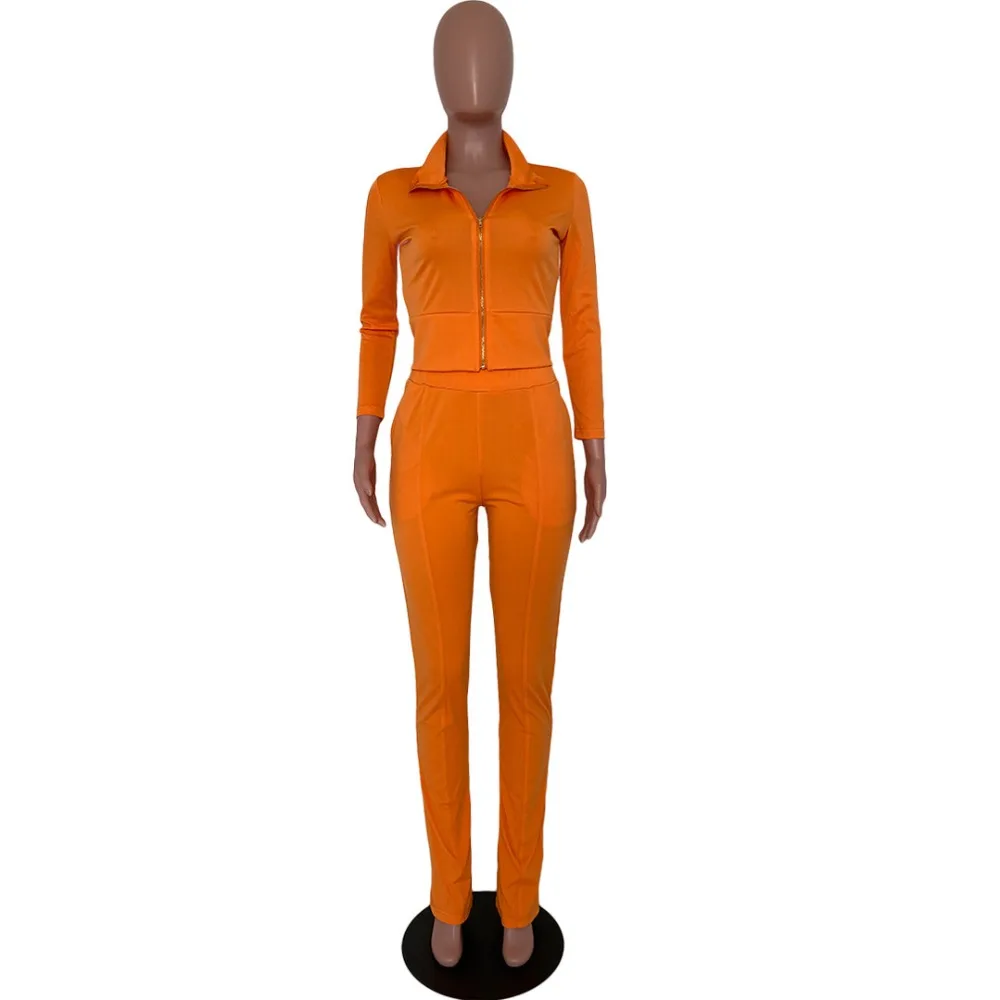 19041516309_70030252