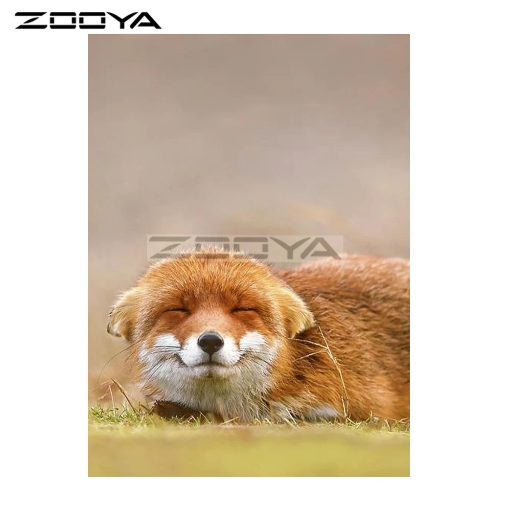 HTB1VzqUXf5G3KVjSZPxq6zI3XXa5