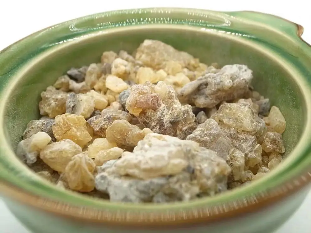 Manila Copal árbol Natural incienso de resina de