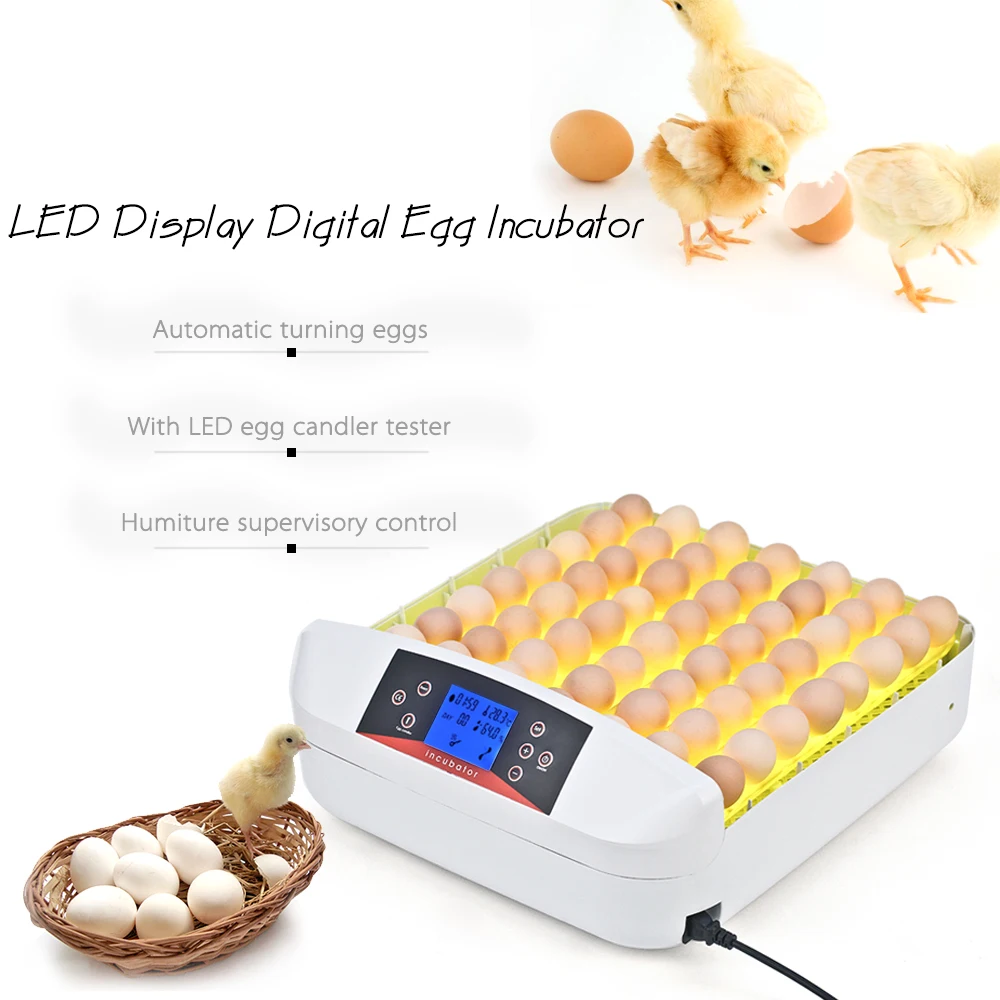 Инкубатор для 56 яиц, полностью автоматический инкубатор для яиц, инкубационная машина для яиц с контролем температуры Onekey светодиодный тестер для яиц