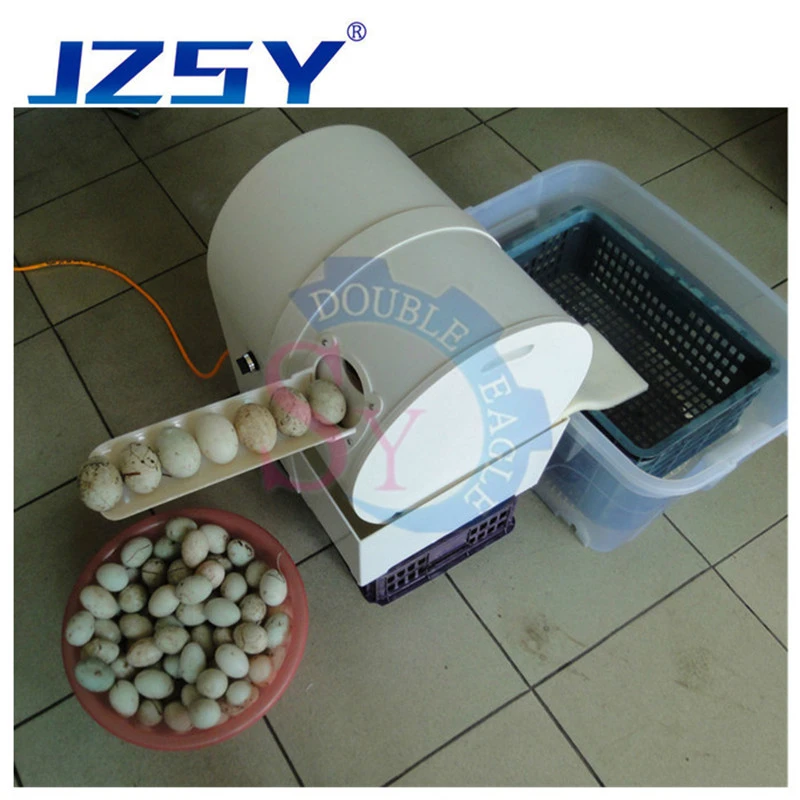 Jzsy Dusuk Fiyat Endustriyel Yumurta Yikayici Ve Temizleyici Ekonomik Ordek Yumurta Temizleme Makinesi Buyuk Stok Bildircin Yumurta Yikama Makinesi Aliexpress Home Appliances