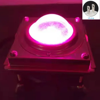 

Bonsai Aquarium 60W Hydroponic Greenhouse Cooling Fan Grow Light Garden Full LED Yard Flower Professional Plants