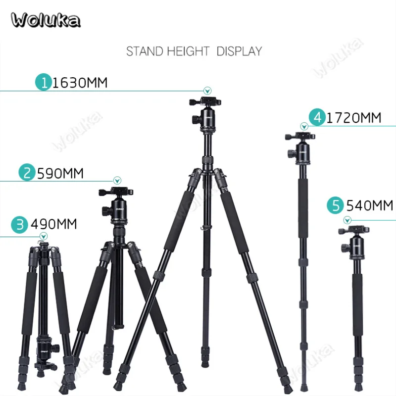 Профессиональная камера штатив подставка для DSLR камеры Мини Портативный штатив для телефона камеры Аксессуары монопод CD50 T10